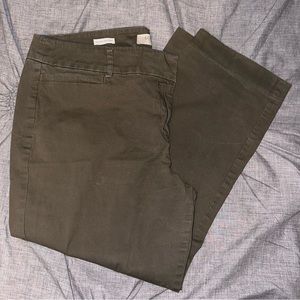 Loft Dress Pants